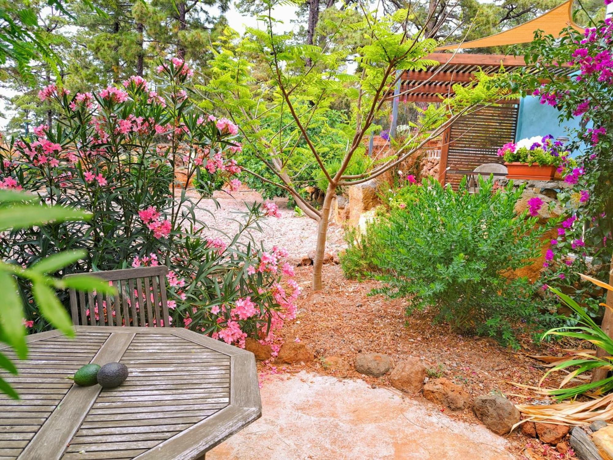 Apartament Casa Nogal Puntagorda Zewnętrze zdjęcie